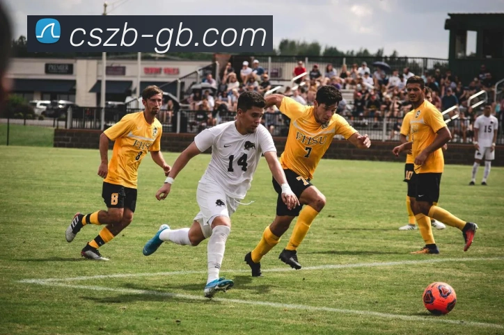 彩神争霸APP 体育赛事宣传图